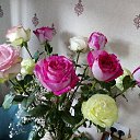 ���� ����, �����������, 55 ��� - ��������� 23 �������� 2020 � ������ ���� ����������