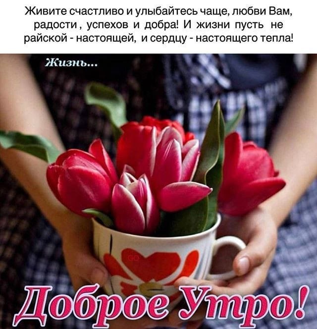   ,    . - 13  2020  21:01 - 3