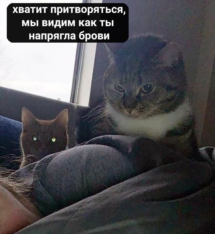   - 5