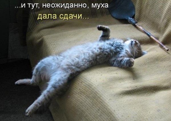    - 5  2021  17:43