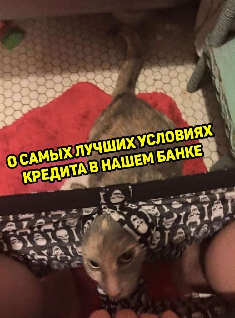      ... - 2