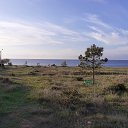  Alex, , 70  -  15  2020    -  15 