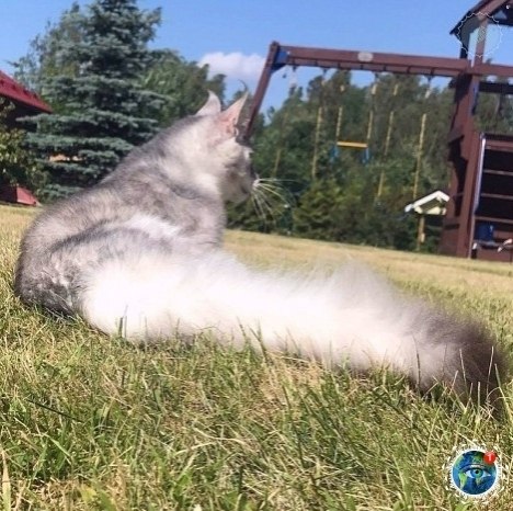 ooe? eoo? aec, o-o  peo oa co aeo.# - 2