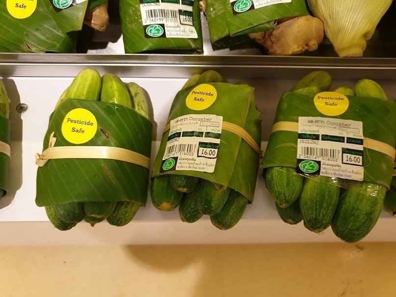 aao c eco ao  oa e aac ceaeo. o  a  ac  ... - 5