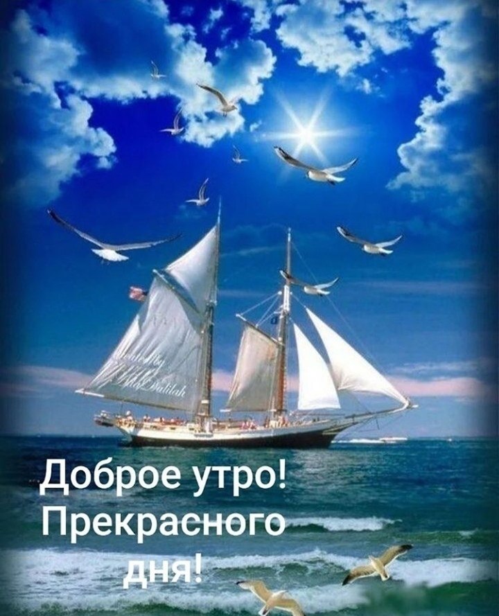   ,    . - 12  2020  23:49 - 4