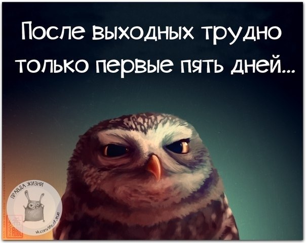   - 8  2021  00:16
