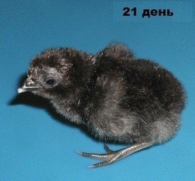    - 7