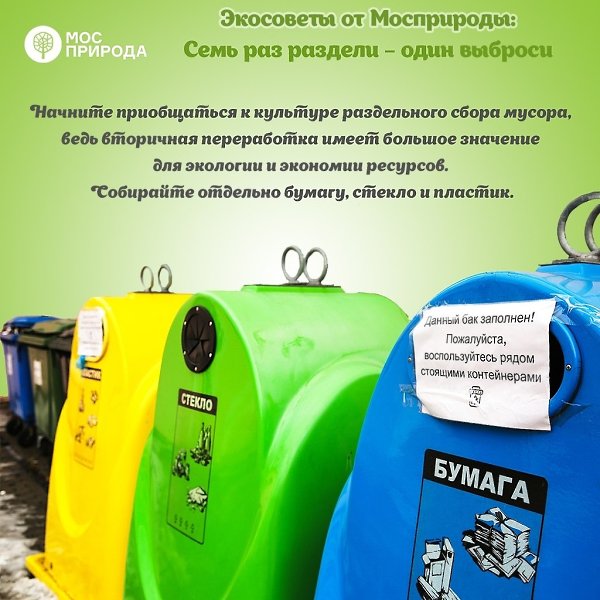 Экосоветы от Мосприроды: 5 важных дел, которые помогут сократить экослед в 2021 году. Новый год – ... - 4