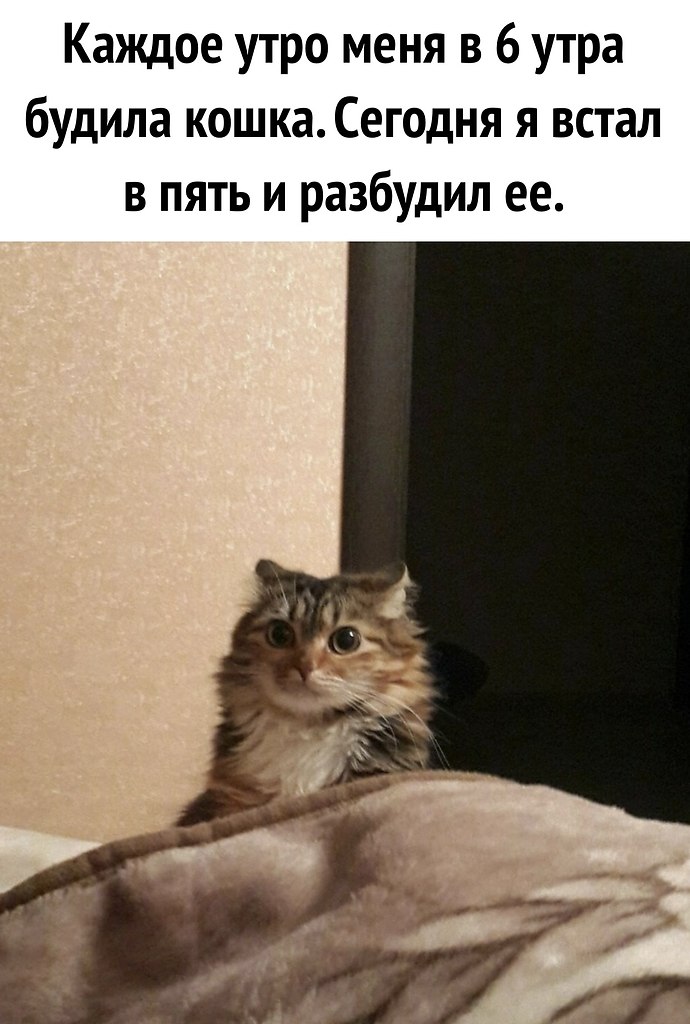   !