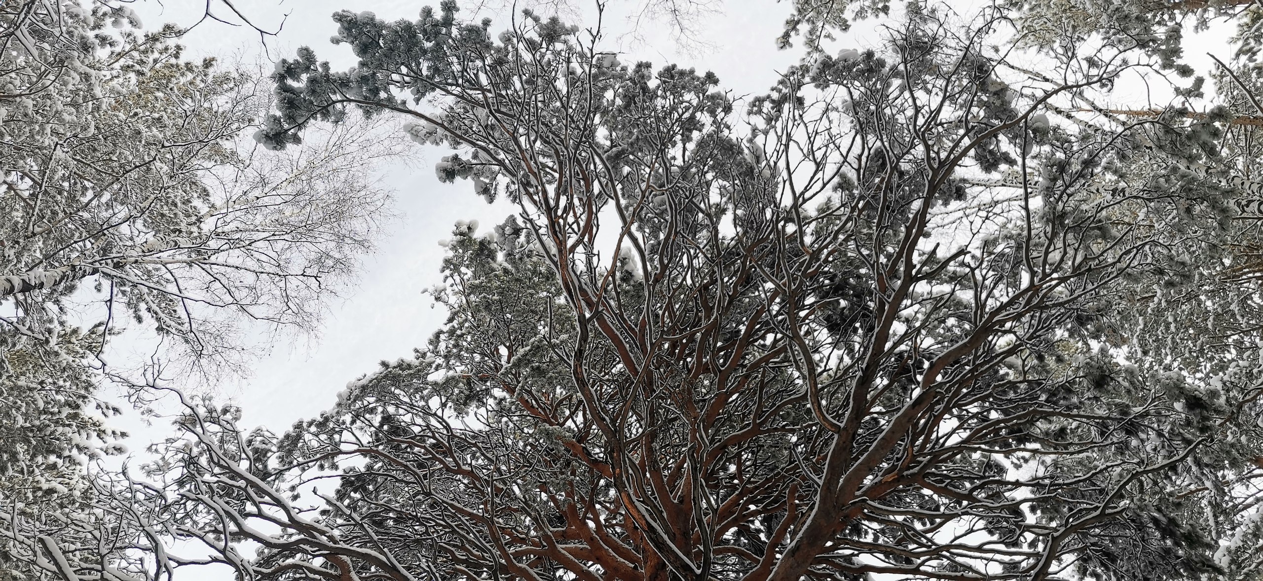 35 .   53 . ))     ))