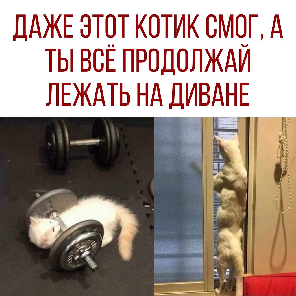  - 8  2020  18:42