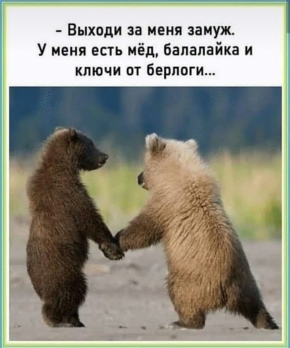   ! - 12  2020  11:29