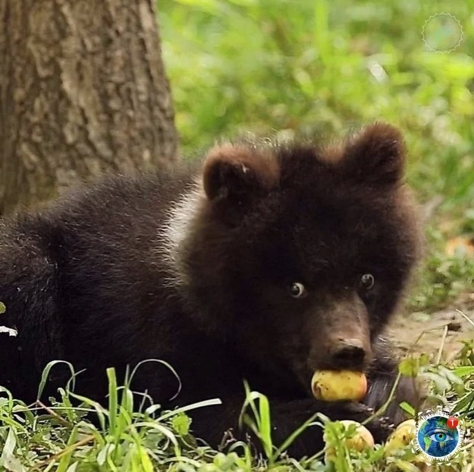 a aa a poa o  a aa p c c p aa  p cac ... - 9