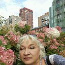 ���� �������, ������, 69 ��� - ��������� 9 ������ 2020 � ������ ���� ����������