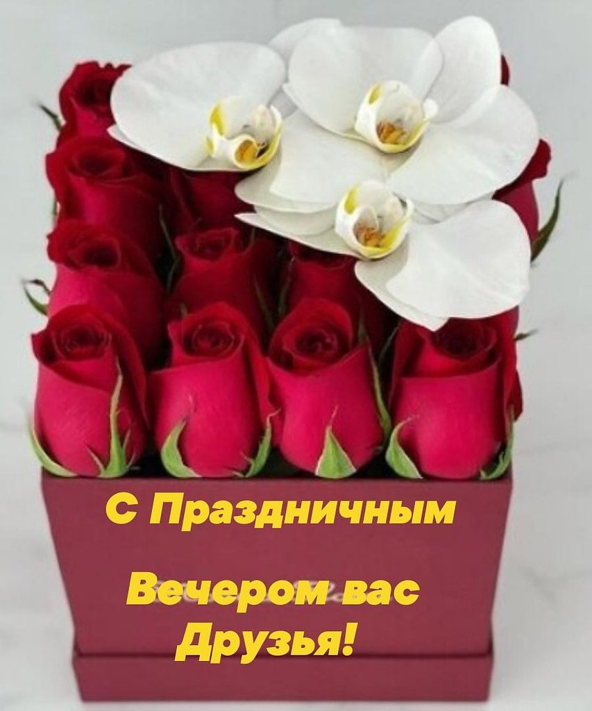   ,    . - 8  2021  18:36 - 7