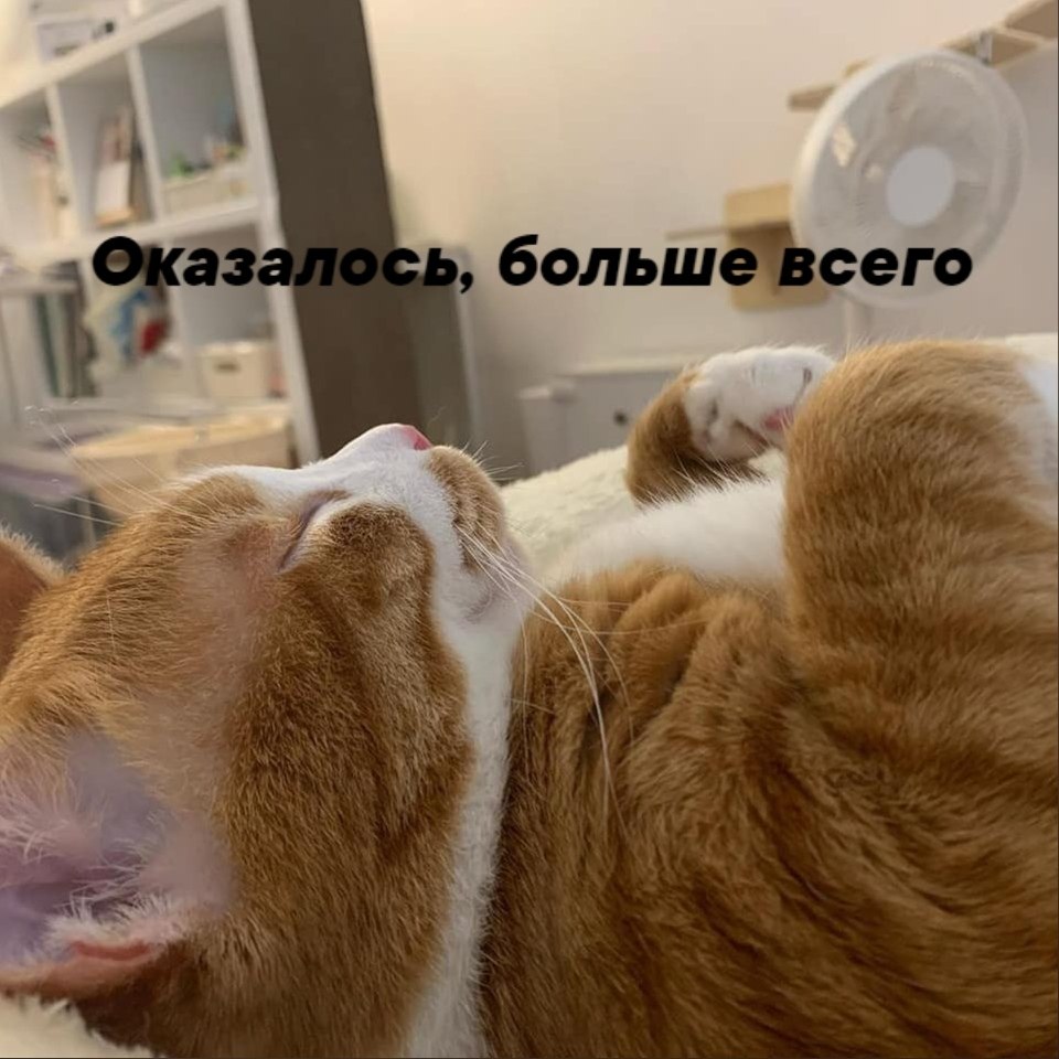       - 17  2021  10:34 - 3
