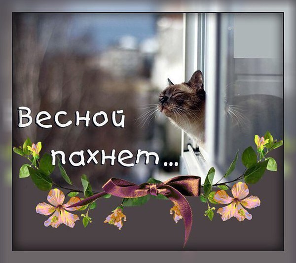 ...    ...     ,     ...