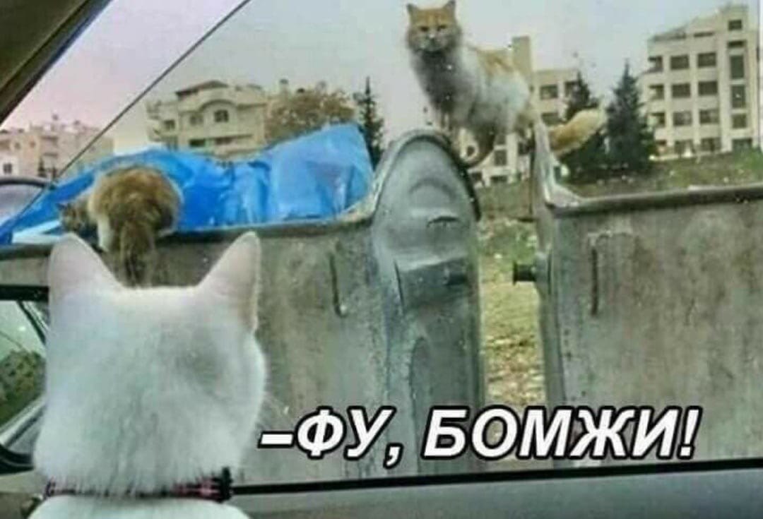     )