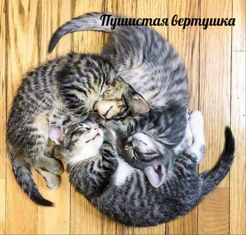  !))).    ?! - 2