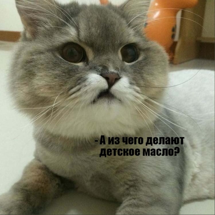       - 13  2021  21:58 - 5