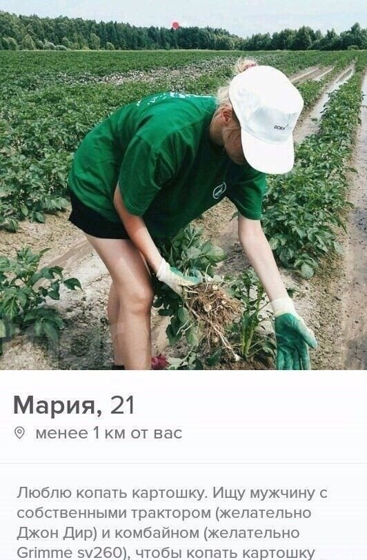     .    - 2
