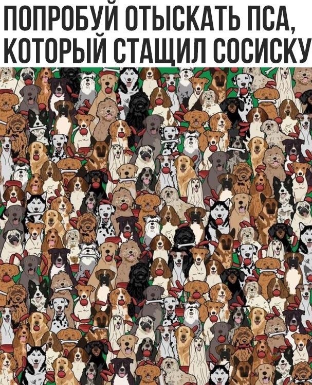   ,   .
