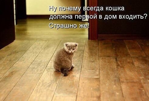    - 18  2021  16:23