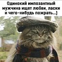 ���� ������, ���������� - ��������� 2 ������� 2022 � ������ ���� ����������