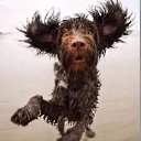 ���� ��������, �����, 79 ��� - ��������� 9 ������� 2021 � ������ ���� ����������