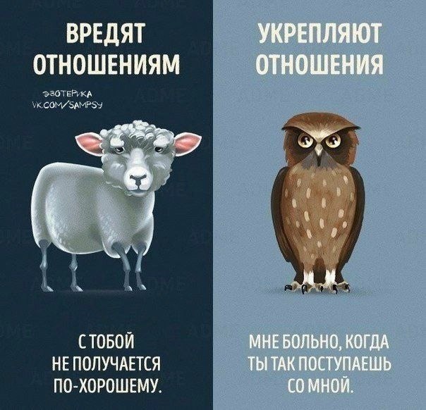 9 pa, papyax ooe.y  ope - 5
