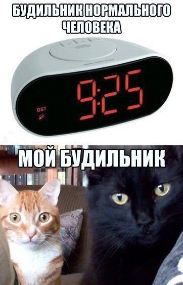    - 5  2021  03:26