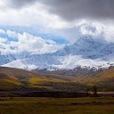  , -, 64  -  11  2022   - 