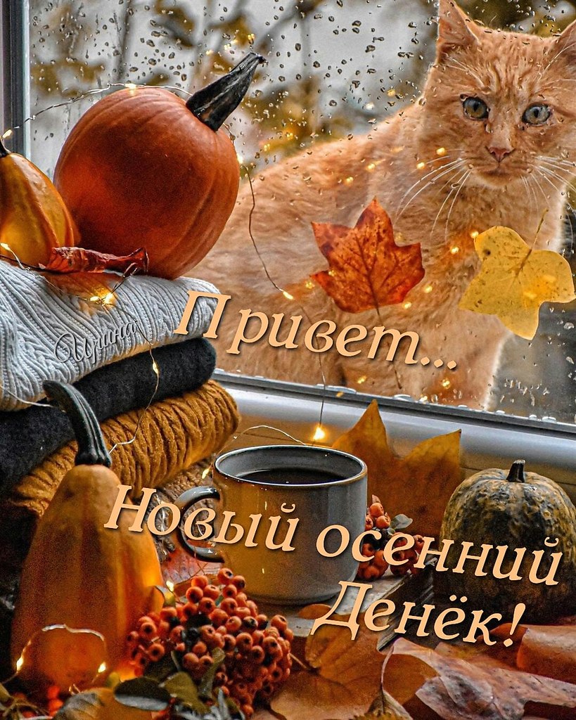    ,  .     - .     ... - 9
