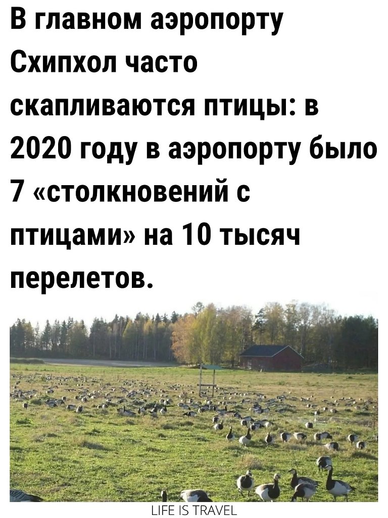 LIFE -  - 2  2022  09:26 - 2