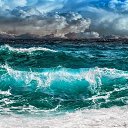  ••,  -  17  2021    ߻