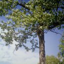 .  &quot; &quot;.     1,2 .    