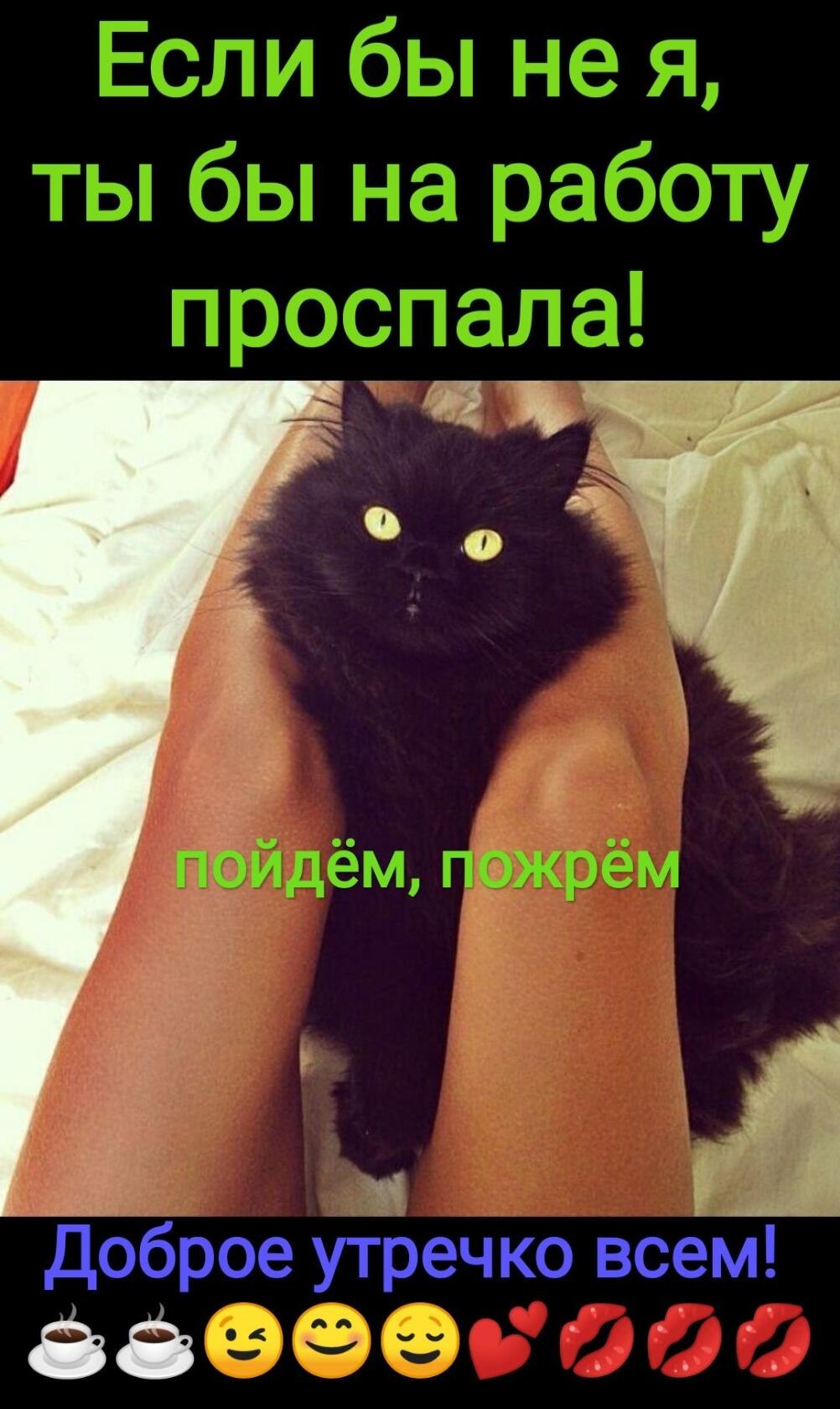 ***Victoria Viktorovna*** - 9  2021  04:20