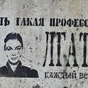  , -, 53  -  13  2021    
