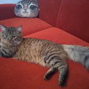 ��� ��� ���� _ 1,5 ���� �� ������� ���� ����������