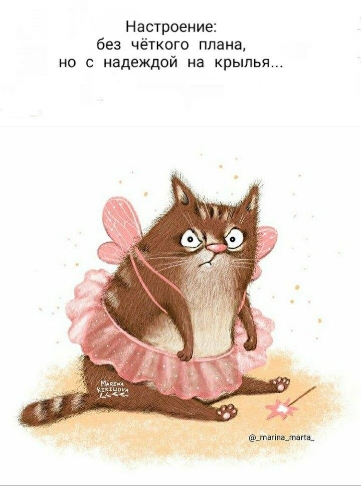   ! - 13  2021  21:49