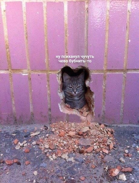     :