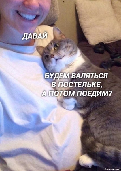  -   : - 2