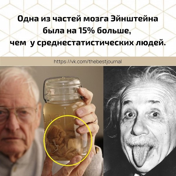 BEST | , ,  - 2  2021  20:36