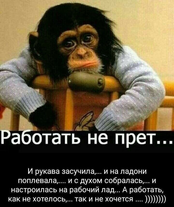 ***Victoria Viktorovna*** - 13  2021  05:56
