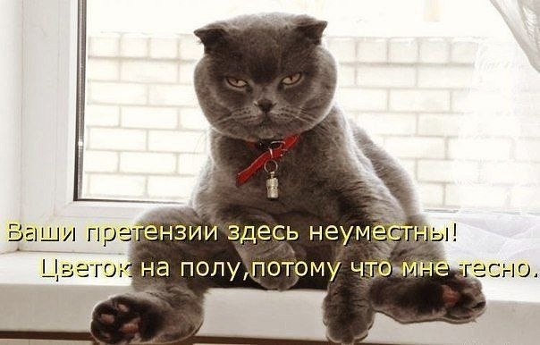    - 19  2021  03:12