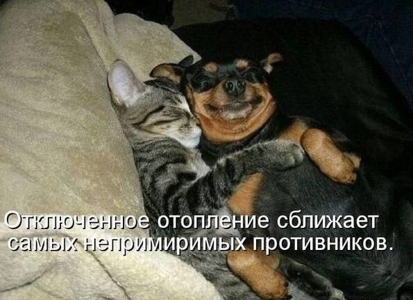    - 24  2021  21:23