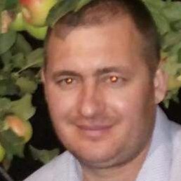 ������, ������, 40 ���