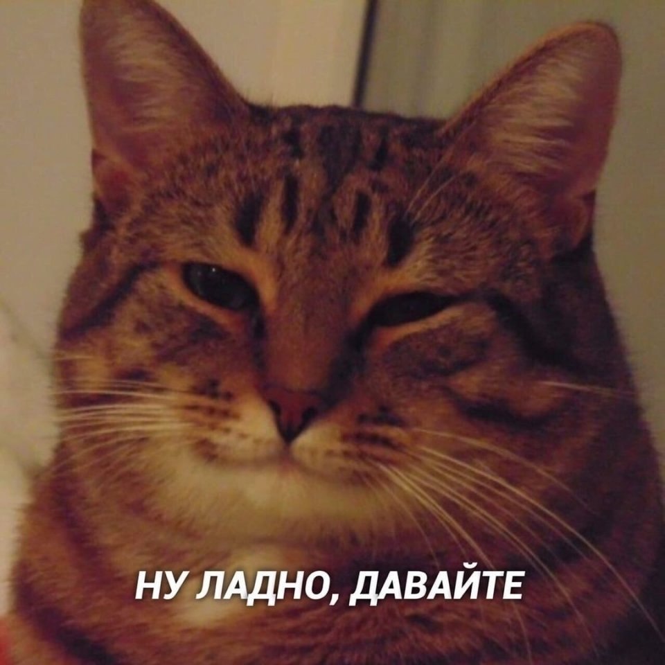          - 5