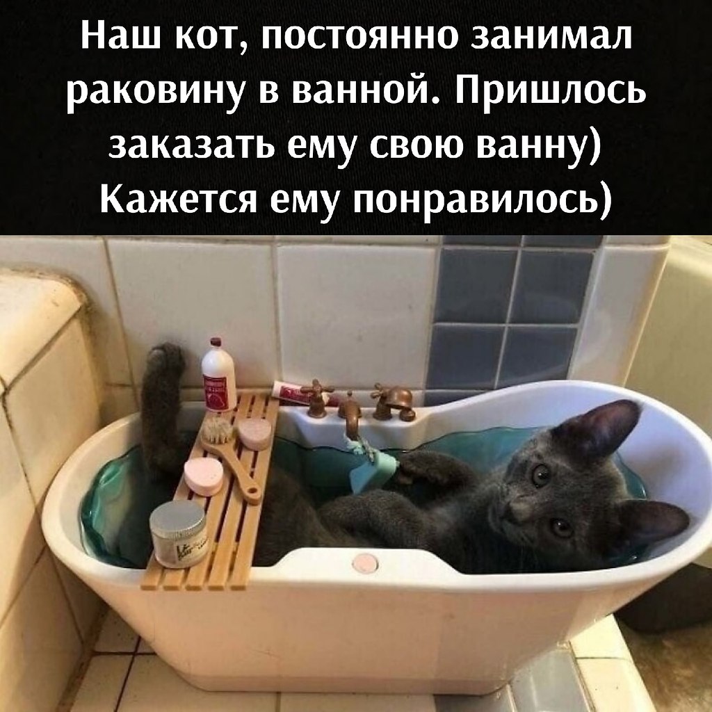       - 1  2021  15:24