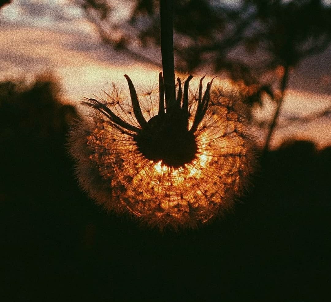 ����: https://fotostrana.ru/away?to=/sl/vCY - 5